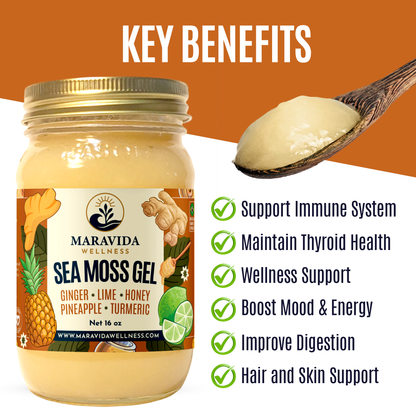 Sea Moss Gel – Ginger, Lime, Honey, Pineapple & Turmeric – 100% Natural Raw Organic Irish Moss – 16oz Jar – Premium Superfood for Everyday Wellness